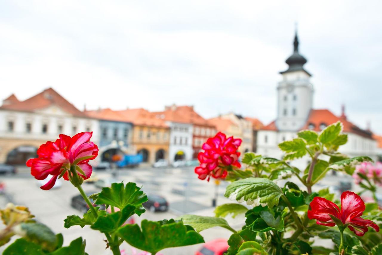 Hotel U Hada Zatec Exterior foto